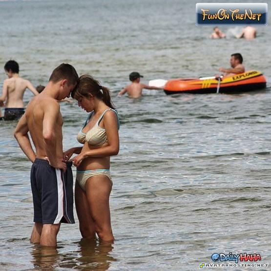 arthropods species modigliani prints avatar toys quicklittleinspection1