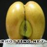 apple ass sexy-apple-797873
