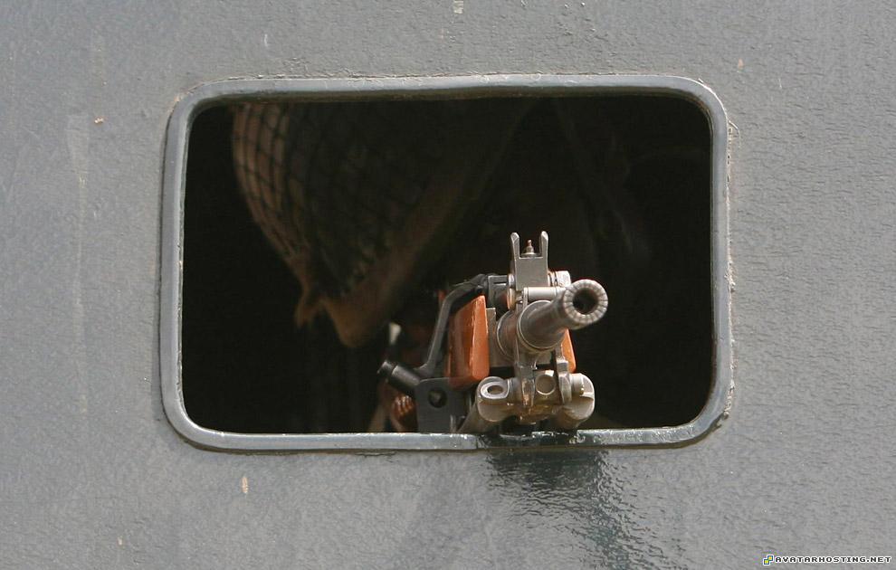 avatar cheats insect animals prints india06_16170785