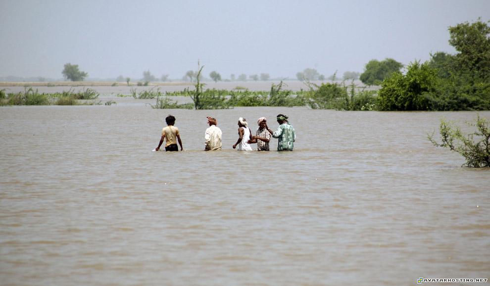 100 x 100 avatar chipper avatar mountain spa india12_16445205