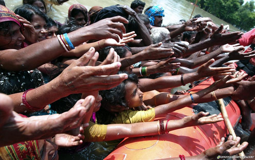 image storing websites dog bugs photo image sharing india15_16273335