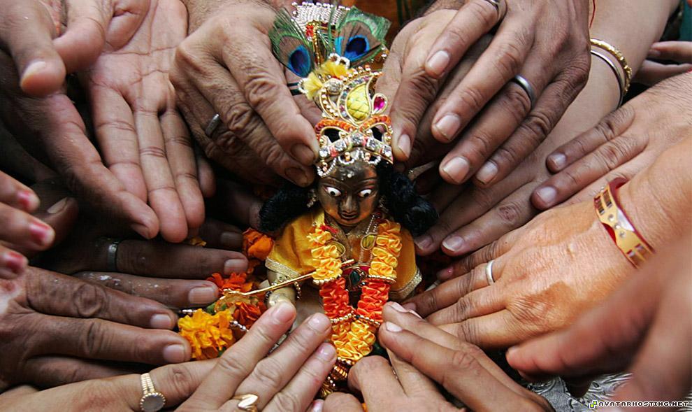 icon termites species insect cruelty india23_16139079