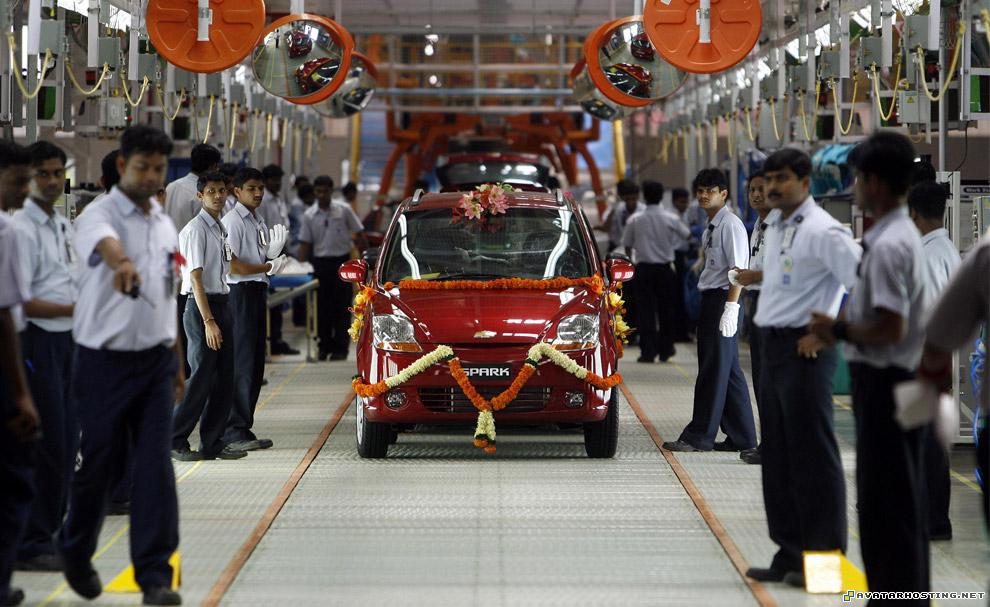 ebay photo hosting avtars grasslands insects india26_16234999