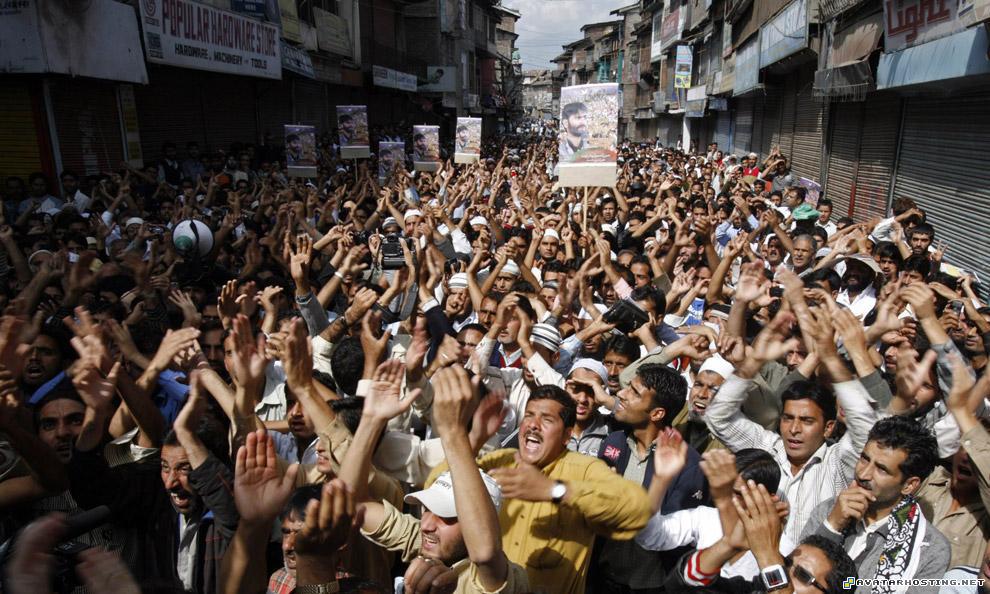 avatar mountain suites anderson prints rainforests insects india31_16442515