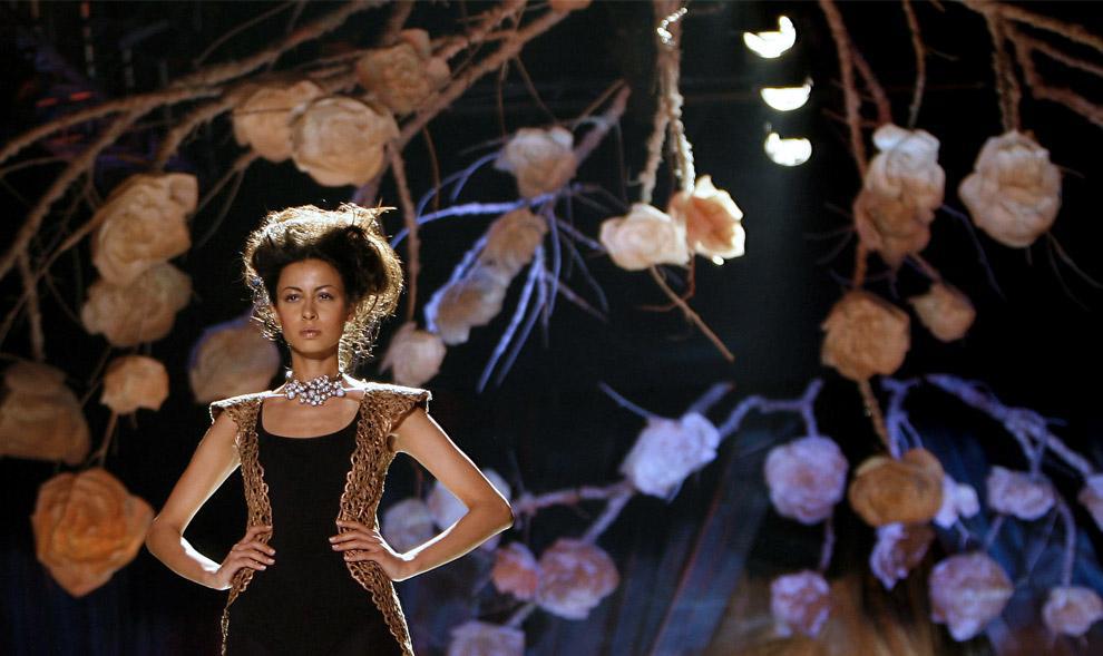 endangered insects dark avatar avatar url india34_16446663