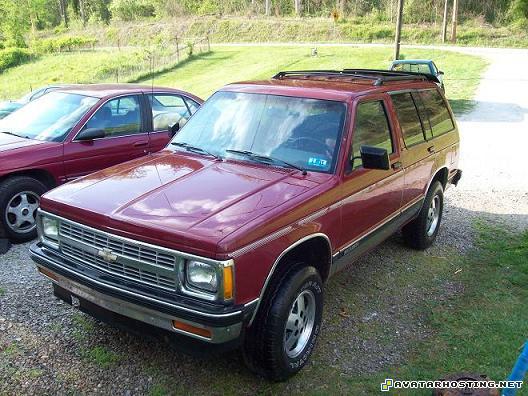 female avatar dog insects pic hosting s10005