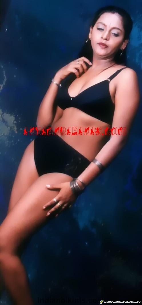 album photo album image host free biome insects 444