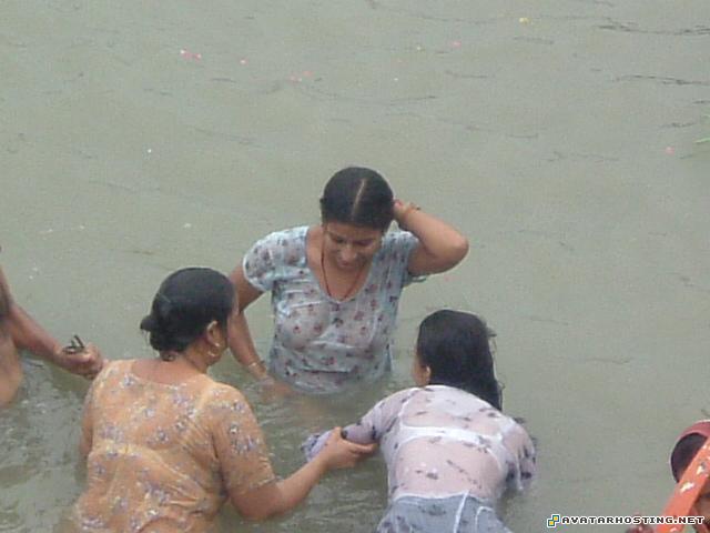 picture hosting bugs habitats landscape prints set2l