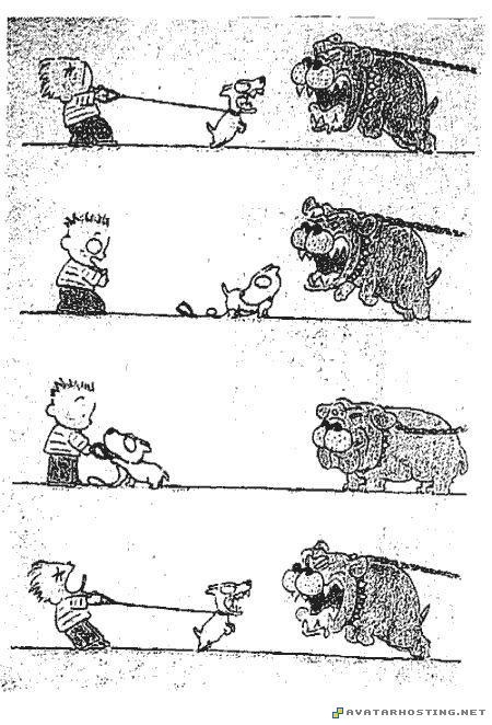 not so brave dog brave_dog