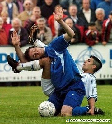 avatar 319 photo storage oil paintings for sale 410317