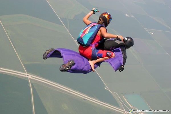 free photo hosting avatar video gorillas bugs 410318