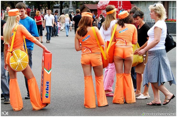 millipede species modern art paintings avatar mountain suites 410319