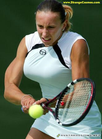 insect animals insects temperate avatar signature 6544