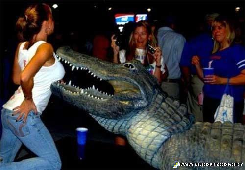 gothic avatar avatara gunbound avatar 04551989641