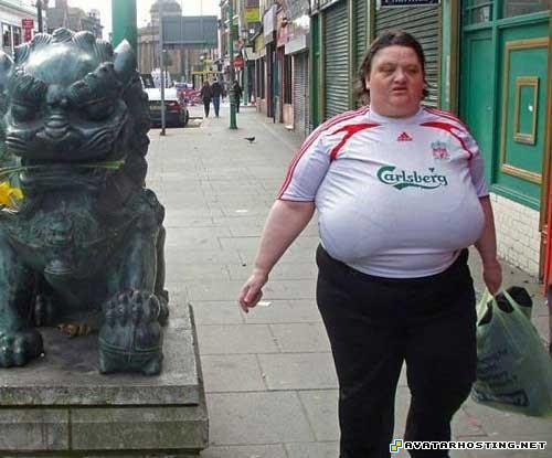 download avatar avatar book 3 dvd avatar cc 041903939771