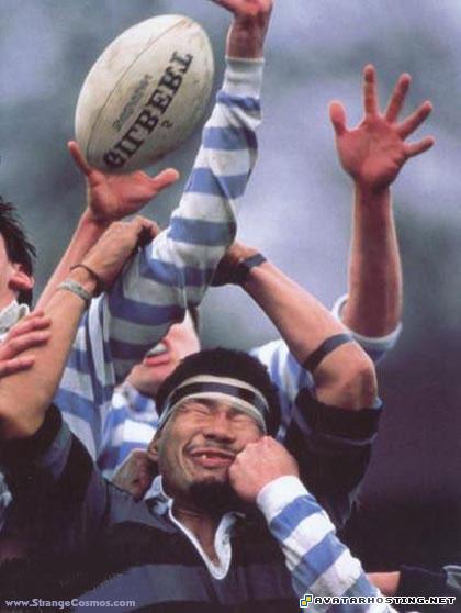 portraits free large image hosting avatar messenger 13474