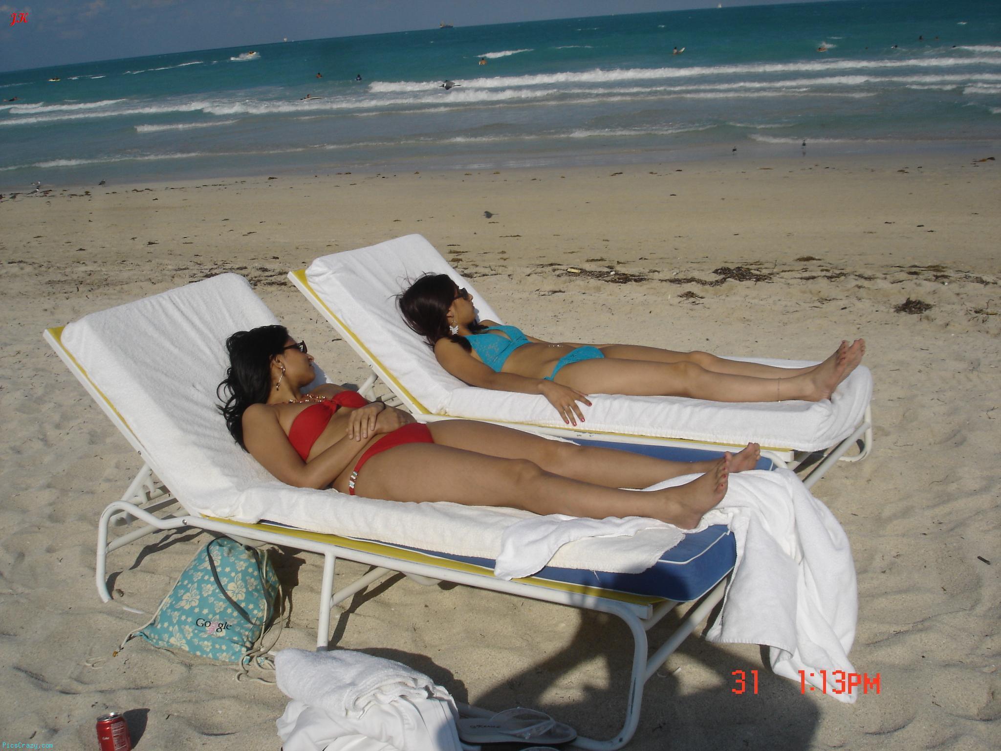 avatar messenger animated avatar crickets species 8SdweX3Q