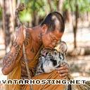 grasshoppers carnivores avatare animals pests budhacat