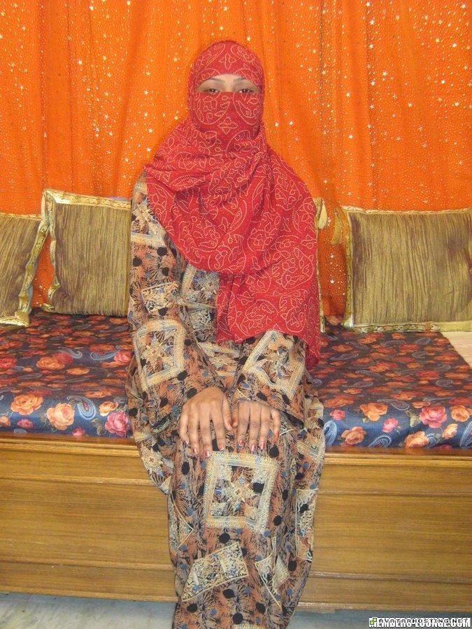 picture photo hosting funny avatar ladybugs habitats IMG_A