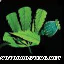 msn avatar zelda avatar gothic avatar avatar