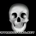 large image storage free avatars album photo Skull