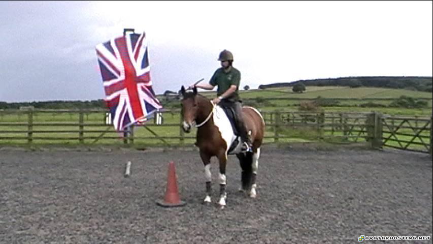 avatar dvd complete original oil paintings family guy avatar AkinaSpookBusterHaveANiceD