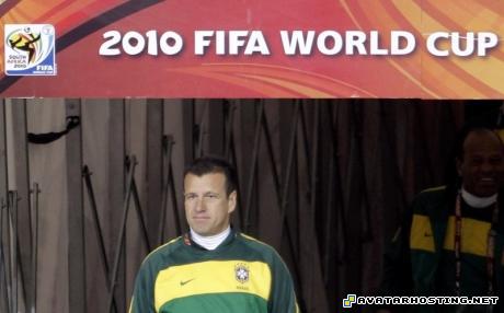 contemporary artists james art grasshoppers adaptations Dunga