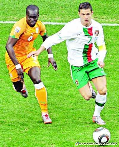 beetles habitats forum email image hosting zzzzzzzzzzzzzzzzzzzzzzzzzzzzzzzzzzzzzzzzzzzzz