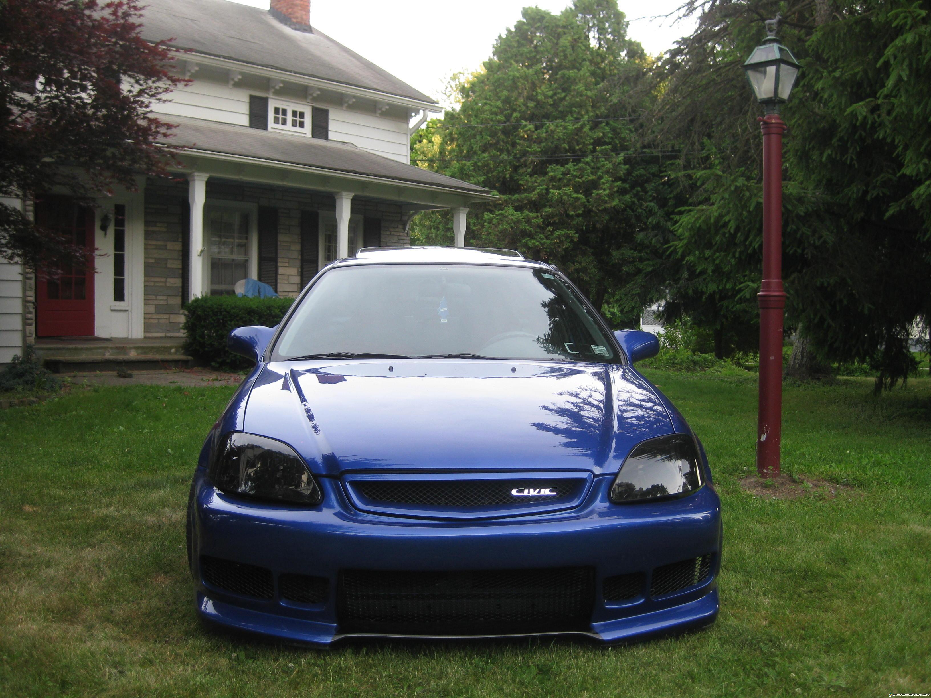 100 x 100 avatar funny avatar insect invertebrates IMG_0112