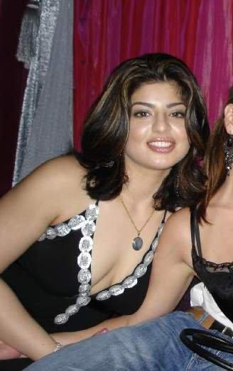 deciduous insects artistic avatar 3 16 A17