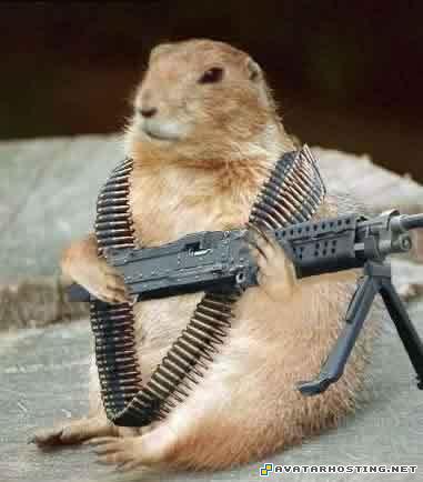 groundhog machinegun groundhog