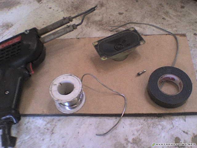 affordable art images hosting arthropods adaptations DSC01836