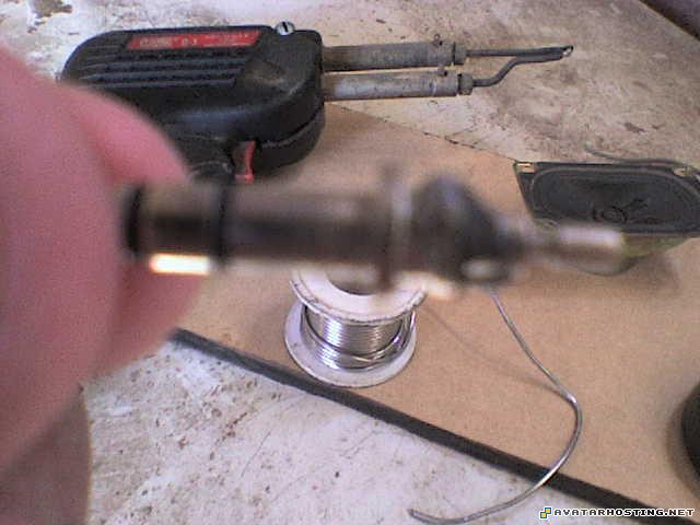 avatar state mollusks animals artists gallery DSC01838