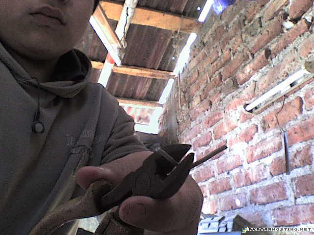 image shack picture avatar animation auction picture hosting DSC01841