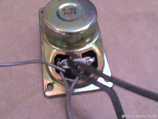 free image hosting service avatar maker bugs habitats DSC01843