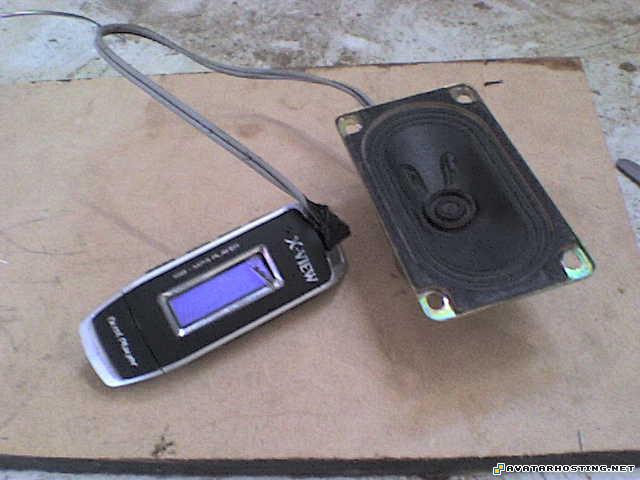 email image hosting avatar toys plush insects DSC01846