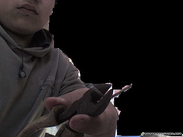 electronic photo album best avatars avatar chipper PARAELGIL