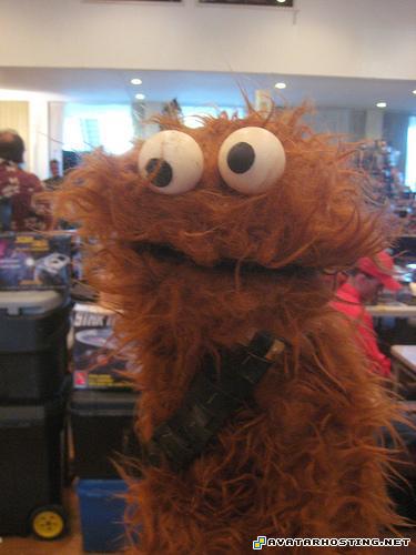 insect animals photo galleries jsp hosting 2897267625_cdc0c06f12