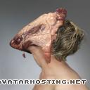 avatar video game the avatar nickelodeon entomology species sara_840