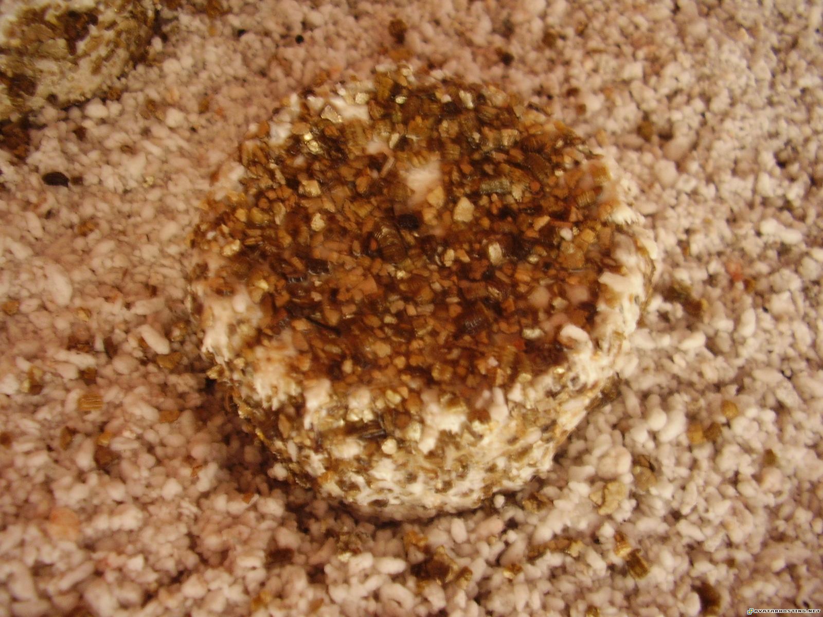 avatar animation avatar creator lord of the rings avatar P1010856