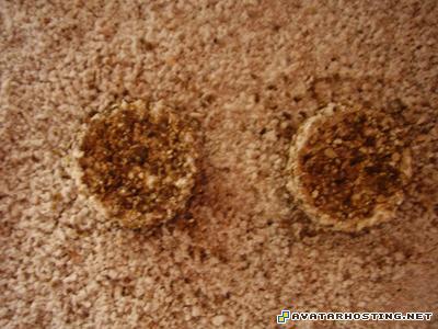 avatar stream avatar 317 animated avatar 2c