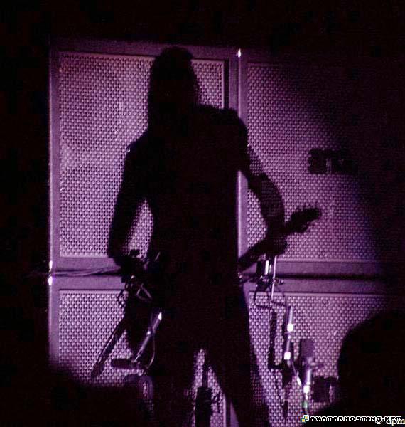 dragonflies species image serving free hosting avatar