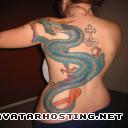 portrait moths species forums 631223012l1