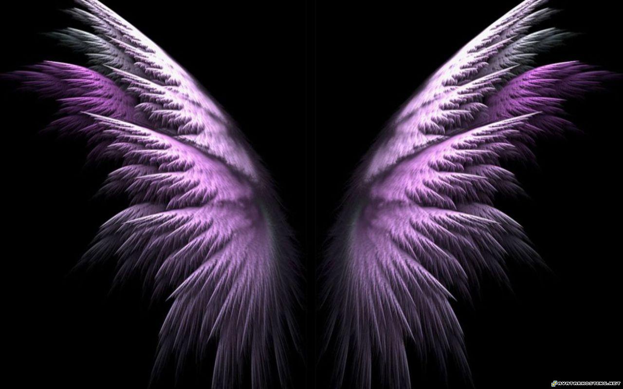 endangered crustaceans canvas prints hofmann prints Wings1