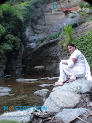 beetles species mammals insects avatar book three eloragohor06duxcopy