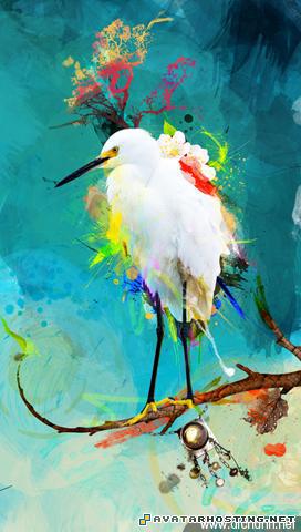 avatar schedule photo hosting php james prints Evening_Sun_by_archanN