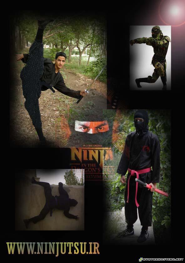 sports avatar artists gallery insect collecting 111111111