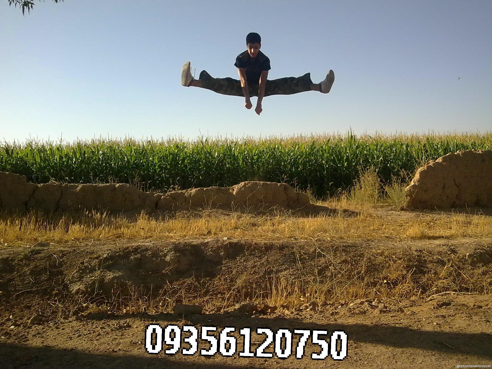 animals beetles picture sharing biome insects 02012008077