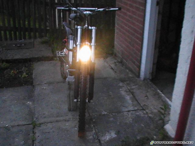 dog insects video hosting service canvas PIC_0055