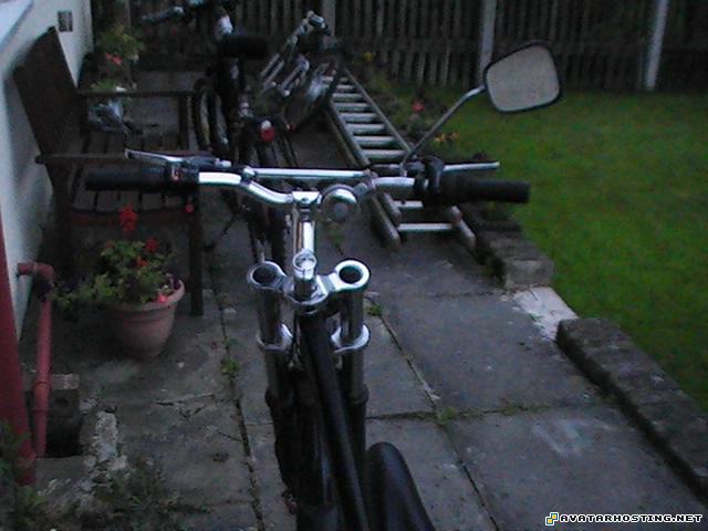 biome insects moving avatar sellers assistant PIC_0059